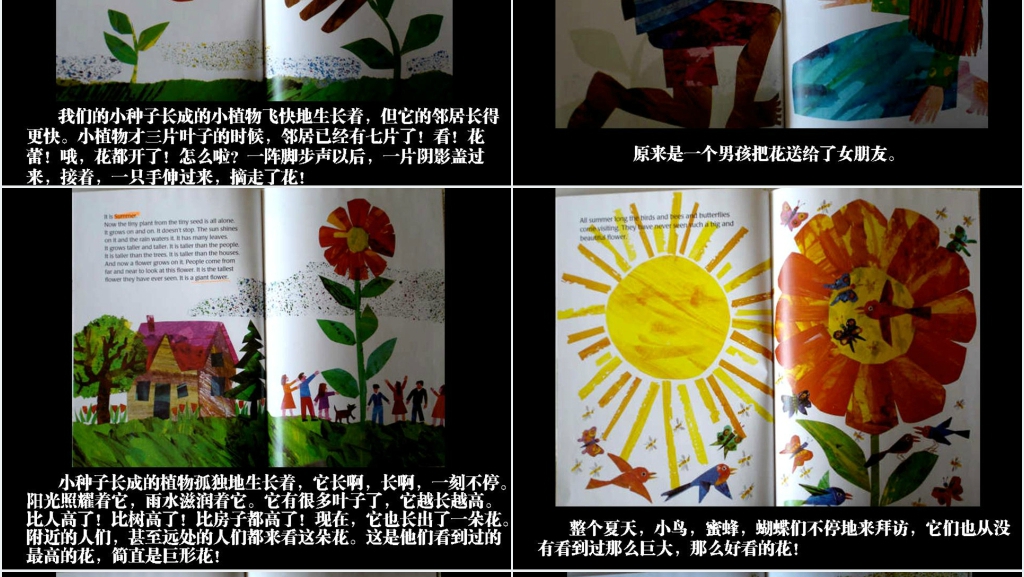 小种子绘本故事PPT课件