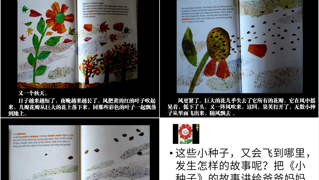 小种子绘本故事PPT课件