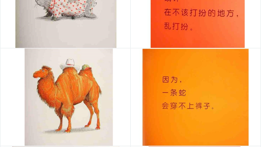 动物绝对不应该穿衣服绘本故事PPT课件 动物绝对不应该穿衣服绘本故事PPT课件