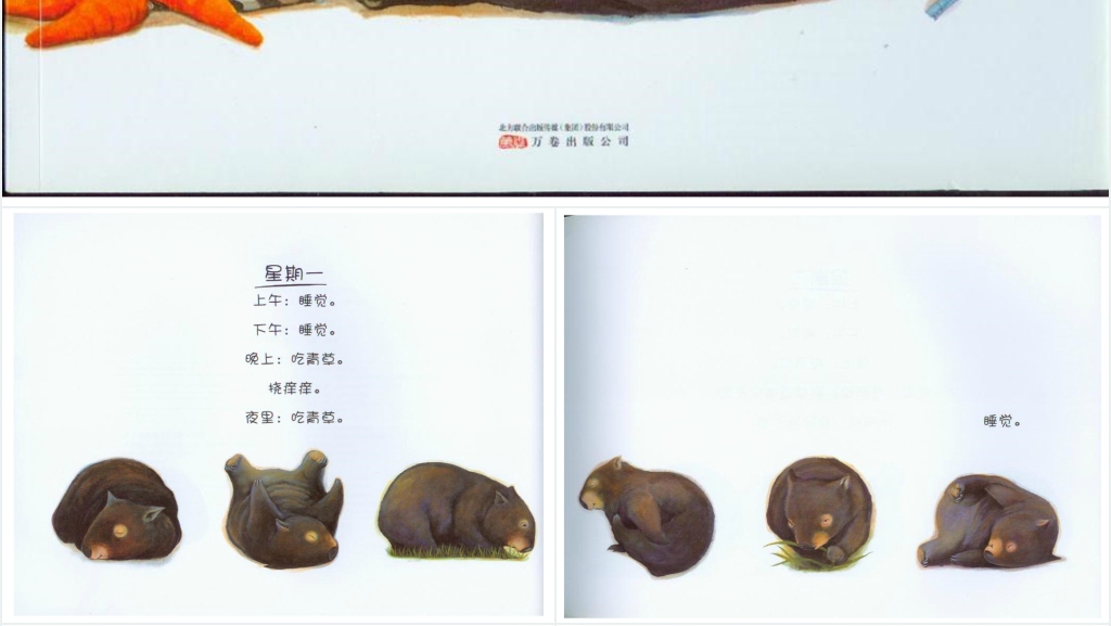 袋熊日记绘本故事PPT课件 袋熊日记绘本故事PPT课件