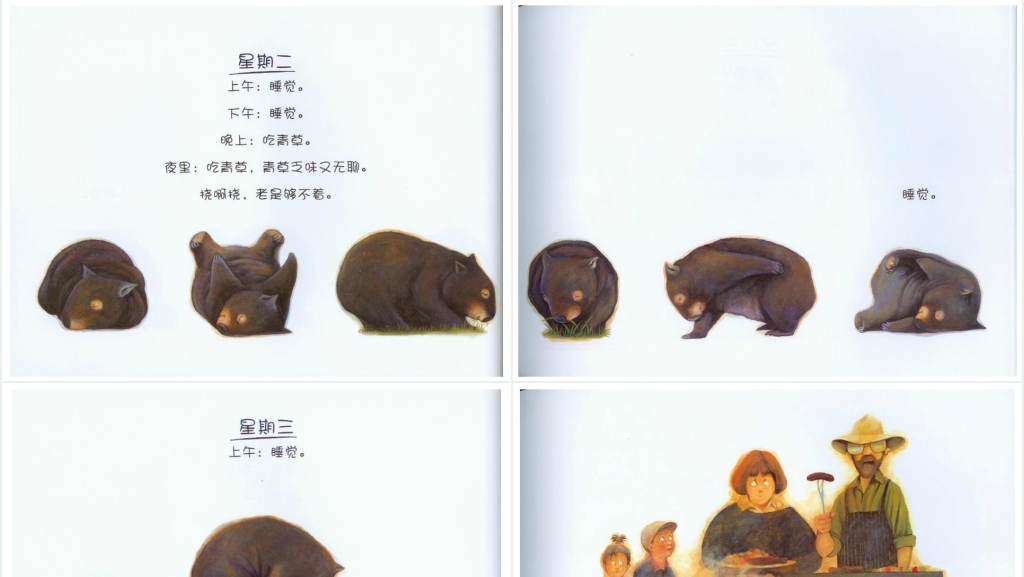袋熊日记绘本故事PPT课件 袋熊日记绘本故事PPT课件