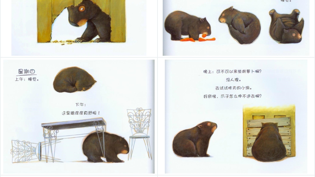 袋熊日记绘本故事PPT课件 袋熊日记绘本故事PPT课件