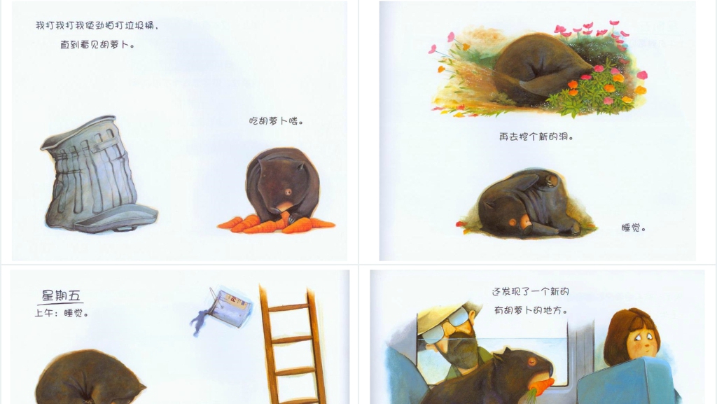 袋熊日记绘本故事PPT课件 袋熊日记绘本故事PPT课件