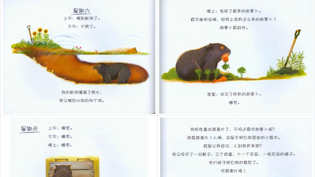 袋熊日记绘本故事PPT课件 袋熊日记绘本故事PPT课件