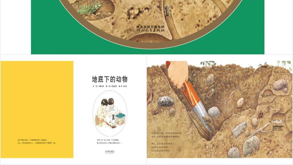 地底下的动物绘本故事PPT课件