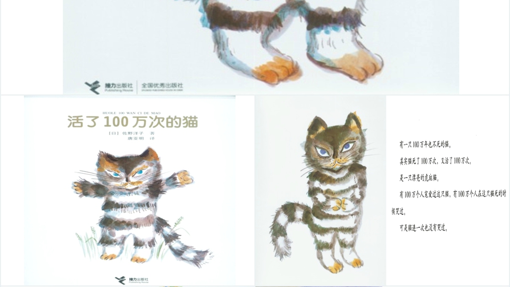 活了100万次的猫绘本故事PPT课件 活了100万次的猫绘本故事PPT课件