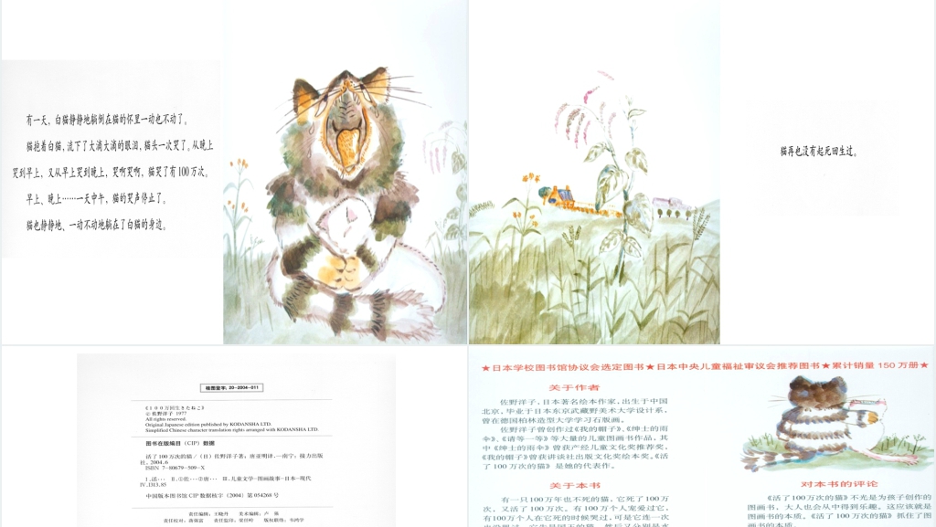 活了100万次的猫绘本故事PPT课件 活了100万次的猫绘本故事PPT课件