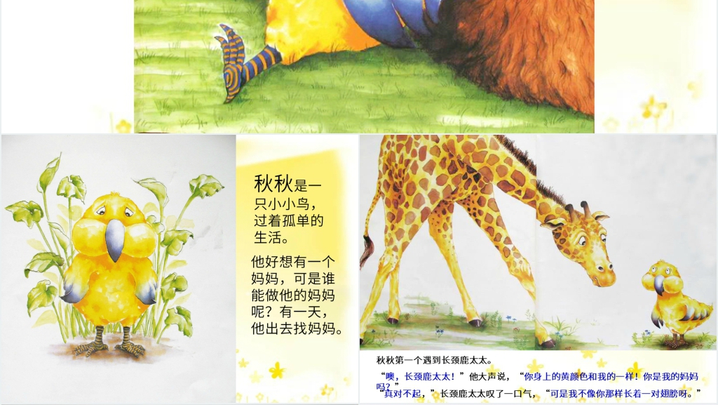 中班秋秋找妈妈绘本故事PPT课件 中班秋秋找妈妈绘本故事PPT课件