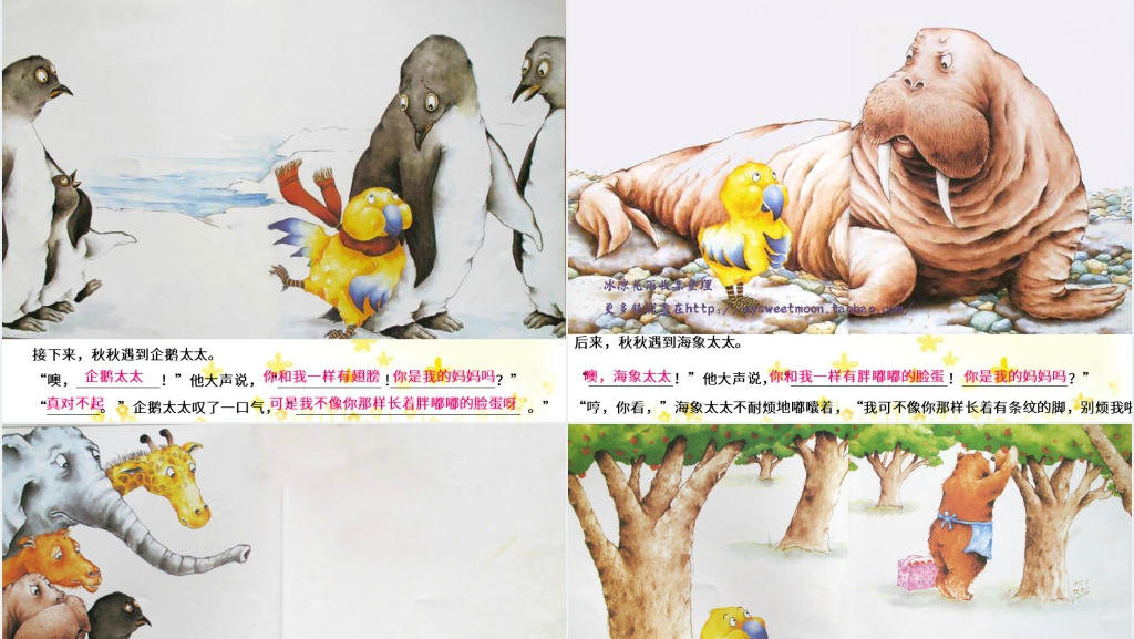 中班秋秋找妈妈绘本故事PPT课件 中班秋秋找妈妈绘本故事PPT课件