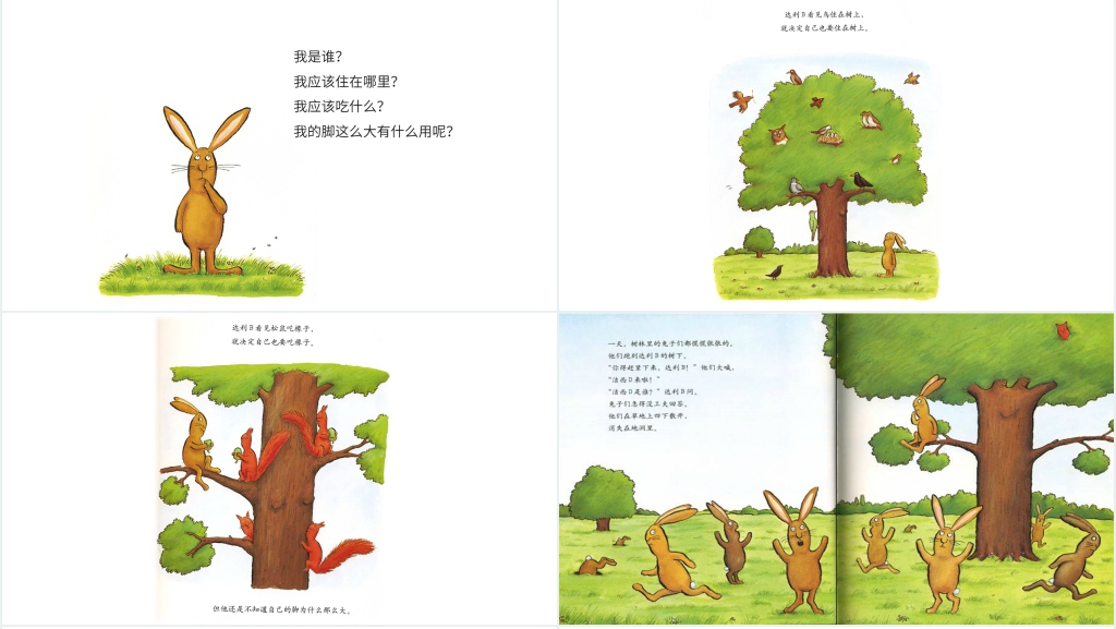 我不知道我是谁绘本故事PPT课件 我不知道我是谁绘本故事PPT课件