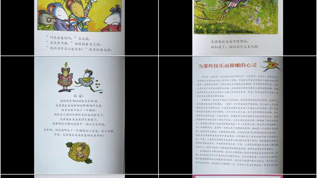 我的名字克丽桑斯美美菊花绘本故事PPT课件