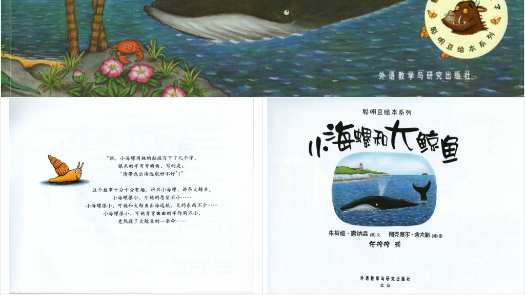 大班小海螺和大鲸鱼绘本故事PPT课件 大班小海螺和大鲸鱼绘本故事PPT课件