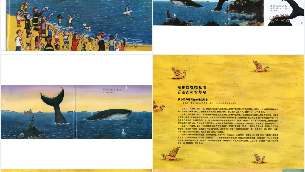 大班小海螺和大鲸鱼绘本故事PPT课件 大班小海螺和大鲸鱼绘本故事PPT课件