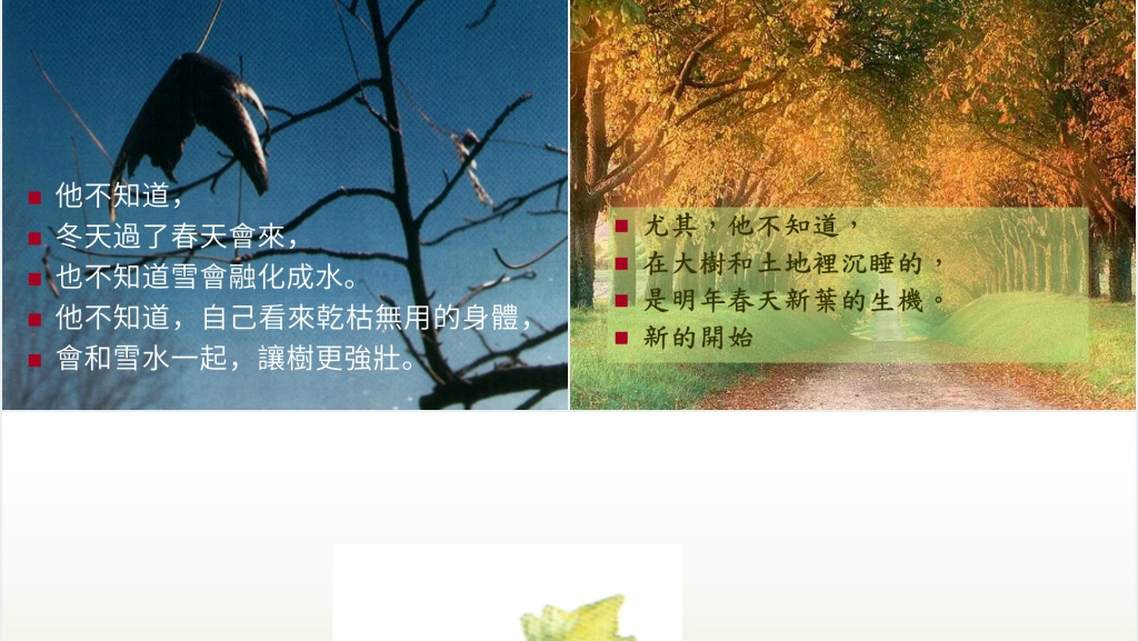 幼儿园阅读一片叶子落下来绘本故事PPT课件 幼儿园阅读一片叶子落下来绘本故事PPT课件