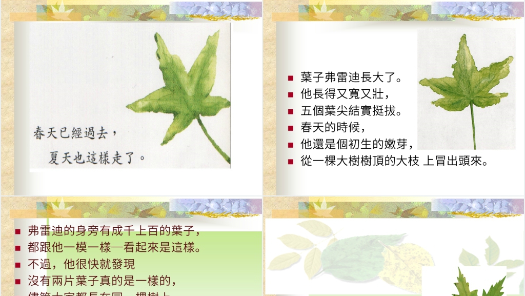 幼儿园阅读一片叶子落下来绘本故事PPT课件 幼儿园阅读一片叶子落下来绘本故事PPT课件