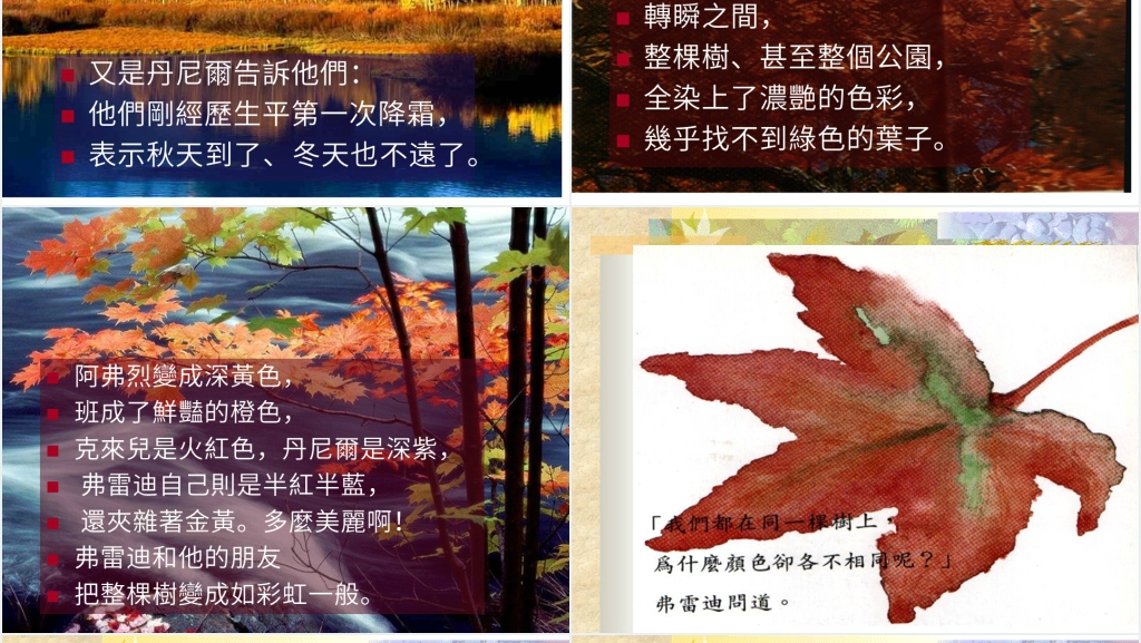 幼儿园阅读一片叶子落下来绘本故事PPT课件 幼儿园阅读一片叶子落下来绘本故事PPT课件