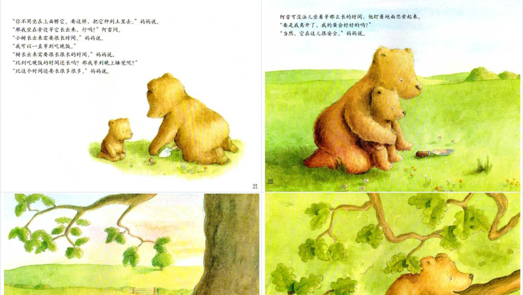小熊孵蛋绘本故事PPT课件 小熊孵蛋绘本故事PPT课件