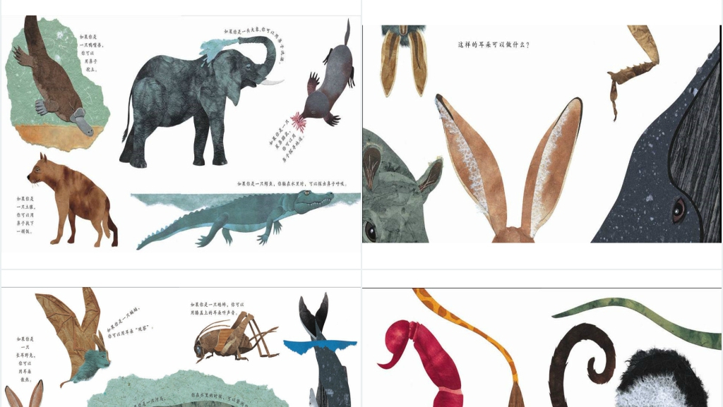 中班这样的尾巴可以做什么绘本故事PPT课件