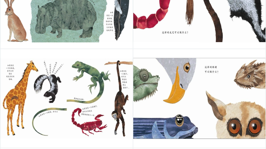 中班这样的尾巴可以做什么绘本故事PPT课件