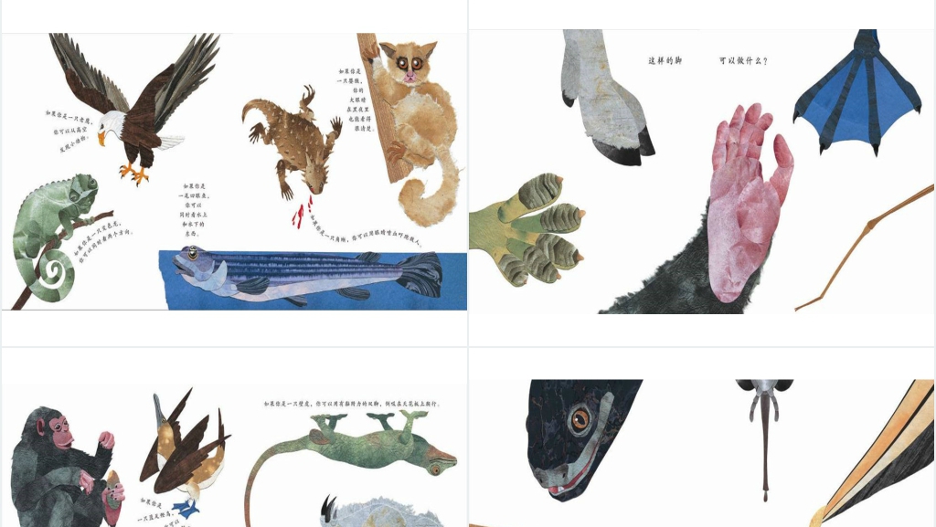 中班这样的尾巴可以做什么绘本故事PPT课件