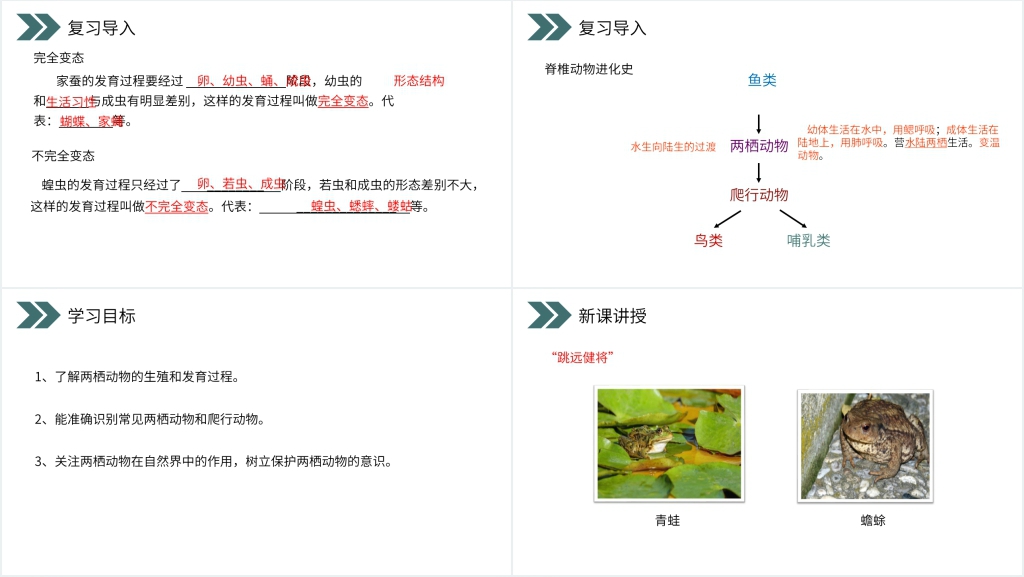 人教版初中生物八年级初二下册《两栖动物的生殖和发育》PPT课件 人教版初中生物八年级初二下册《两栖动物的生殖和发育》PPT课件