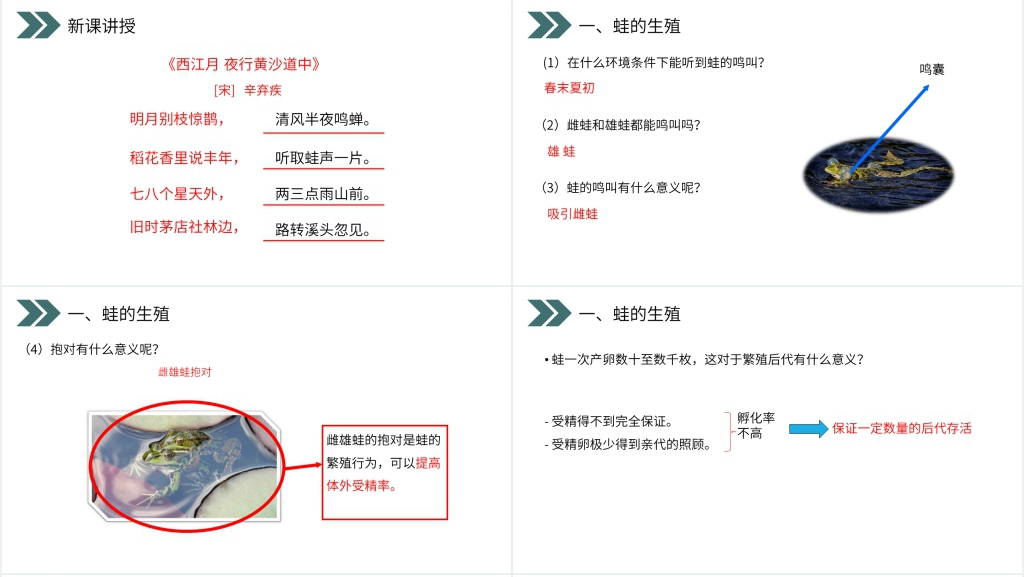 人教版初中生物八年级初二下册《两栖动物的生殖和发育》PPT课件 人教版初中生物八年级初二下册《两栖动物的生殖和发育》PPT课件