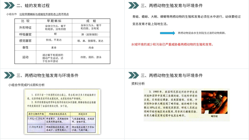 人教版初中生物八年级初二下册《两栖动物的生殖和发育》PPT课件 人教版初中生物八年级初二下册《两栖动物的生殖和发育》PPT课件