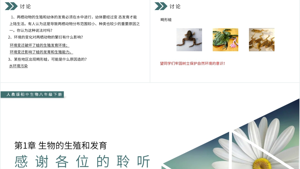 人教版初中生物八年级初二下册《两栖动物的生殖和发育》PPT课件 人教版初中生物八年级初二下册《两栖动物的生殖和发育》PPT课件