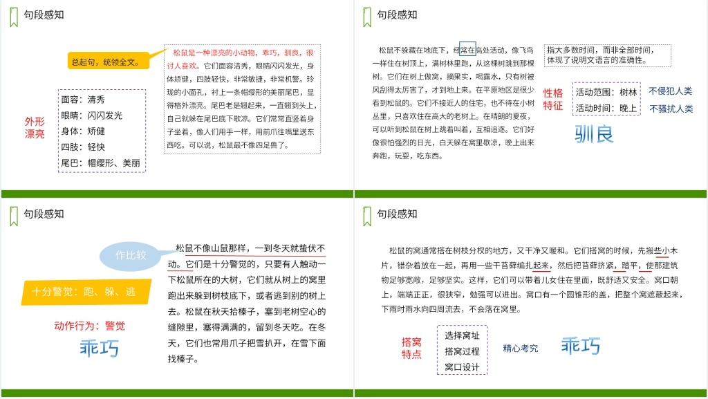 人教版五年级上册语文《松鼠》PPT课件 人教版五年级上册语文《松鼠》PPT课件