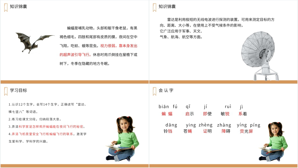 人教版四年级上册语文《蝙蝠和雷达》教学讲课PPT课件 人教版四年级上册语文《蝙蝠和雷达》教学讲课PPT课件
