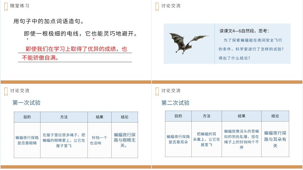 人教版四年级上册语文《蝙蝠和雷达》教学讲课PPT课件 人教版四年级上册语文《蝙蝠和雷达》教学讲课PPT课件