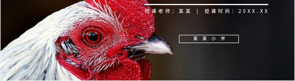 人教版四年级语文下册《母鸡》课文教学PPT课件 人教版四年级语文下册《母鸡》课文教学PPT课件