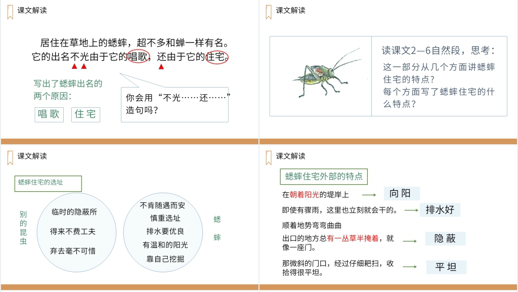 人教版四年级上册语文《蟋蟀的住宅》课文教学PPT课件 人教版四年级上册语文《蟋蟀的住宅》课文教学PPT课件