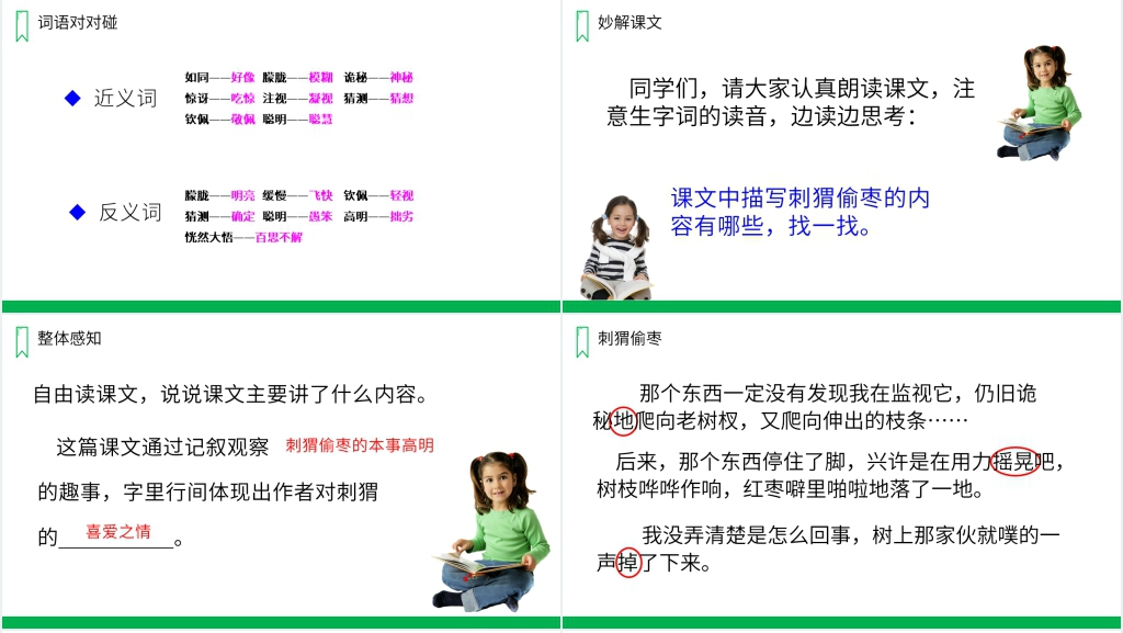 人教版三年级上册语文《带刺的朋友》课文PPT课件 人教版三年级上册语文《带刺的朋友》课文PPT课件