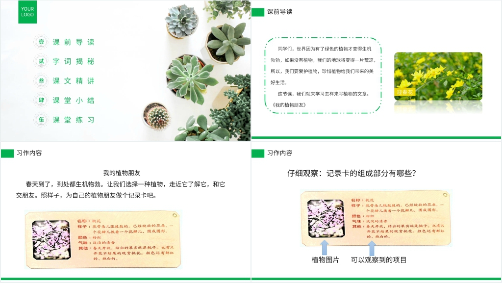 小学三年级语文下册《习作——我的植物朋友》PPT课件 小学三年级语文下册《习作——我的植物朋友》PPT课件