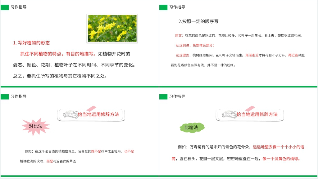 小学三年级语文下册《习作——我的植物朋友》PPT课件 小学三年级语文下册《习作——我的植物朋友》PPT课件