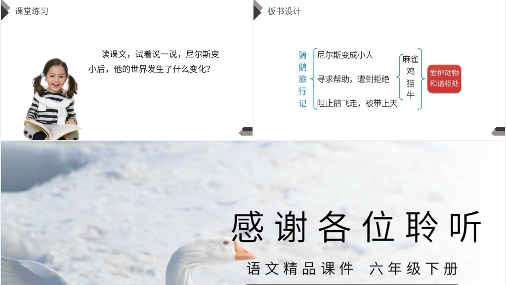 人教版六年级语文下册《骑鹅旅行记》课文PPT课件 人教版六年级语文下册《骑鹅旅行记》课文PPT课件