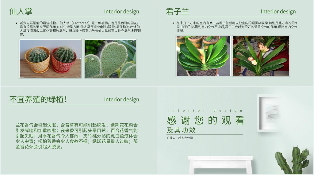 常见室内绿植分享PPT模板 常见室内绿植分享PPT模板