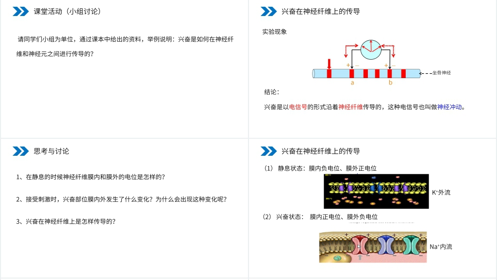 人教版高二生物必修三《通过神经系统的调节》PPT课件