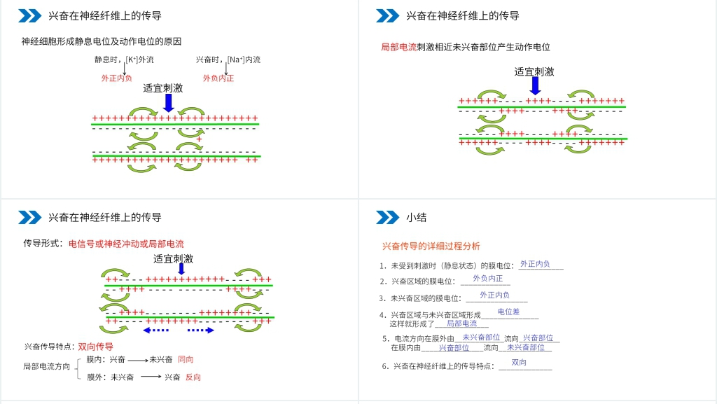 人教版高二生物必修三《通过神经系统的调节》PPT课件
