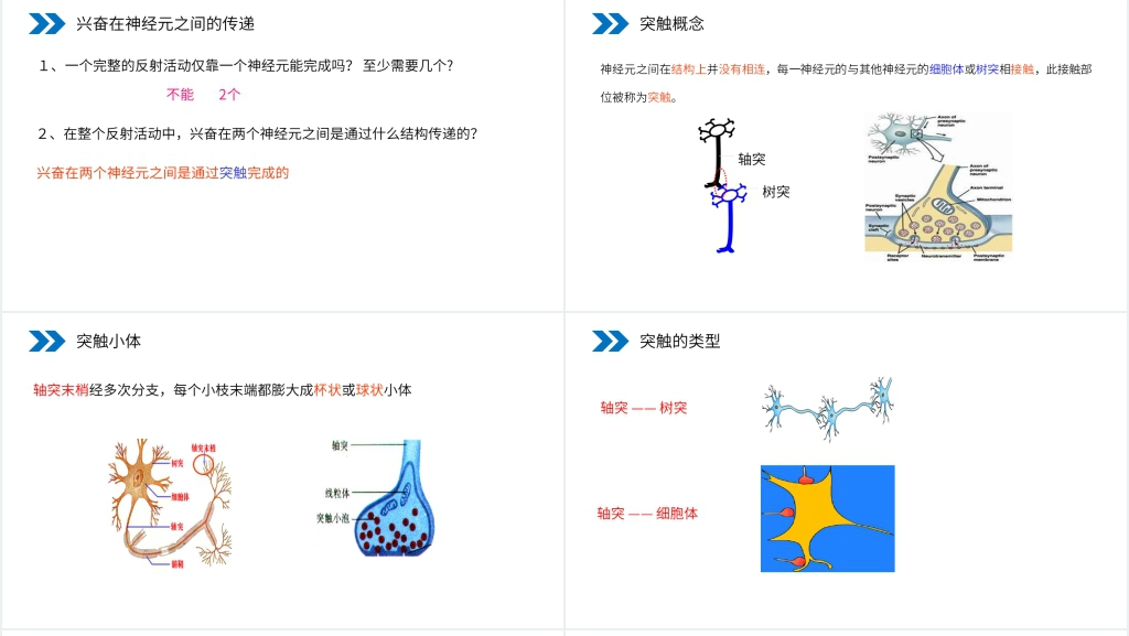 人教版高二生物必修三《通过神经系统的调节》PPT课件