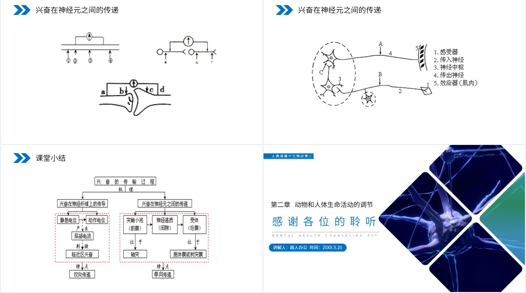 人教版高二生物必修三《通过神经系统的调节》PPT课件