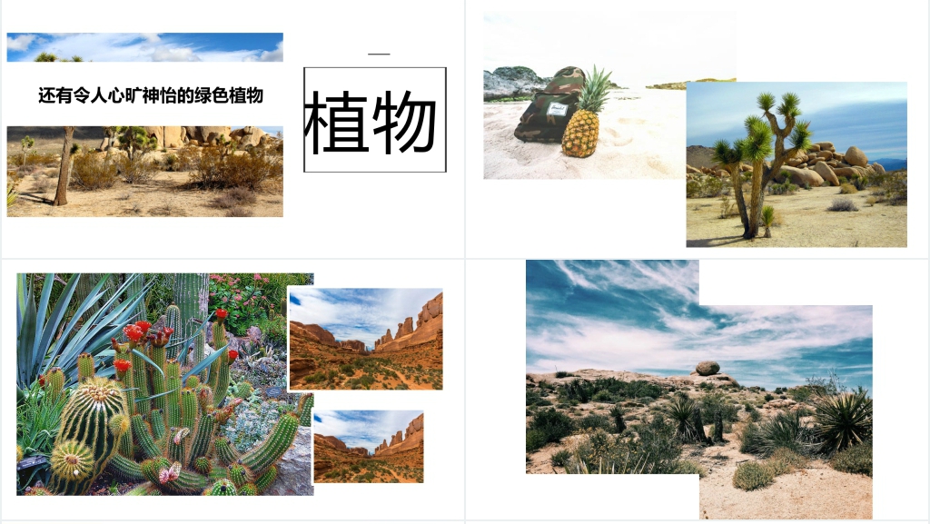 沙漠旅游宣传PPT 沙漠旅游宣传PPT