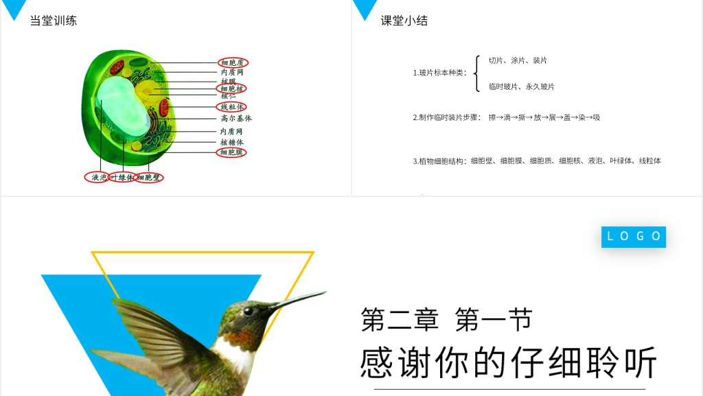 人教版七年级初一生物上册《植物细胞》PPT课件