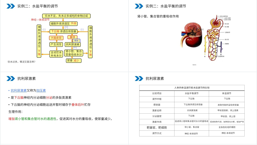人教版高二生物必修三《神经调节与体液调节的关系》PPT课件 人教版高二生物必修三《神经调节与体液调节的关系》PPT课件