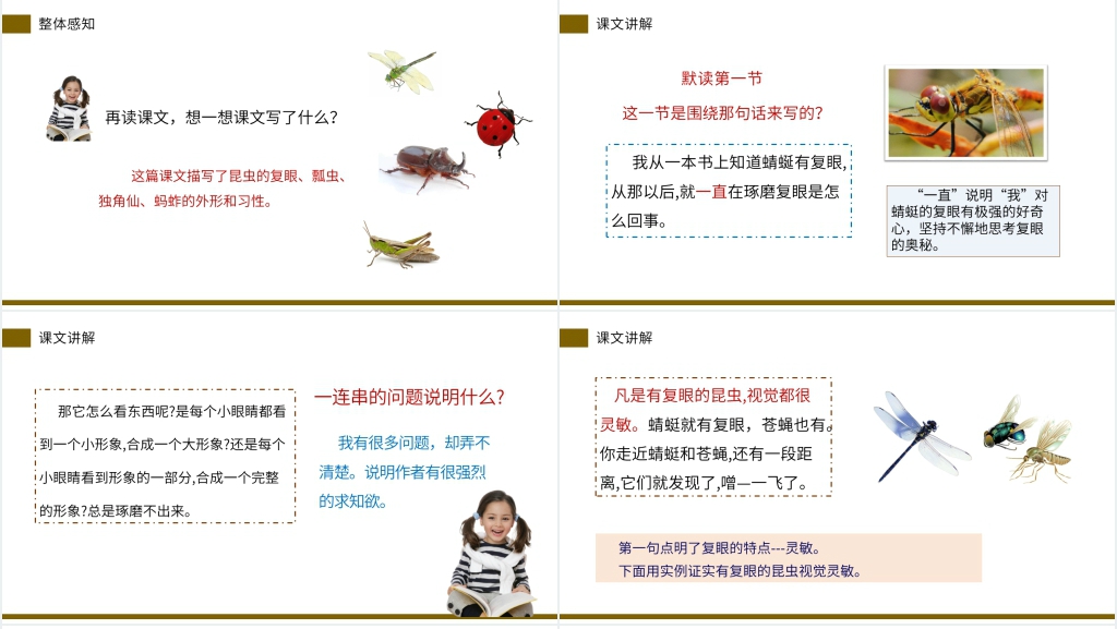 小学三年级语文下册《昆虫备忘录》PPT课件