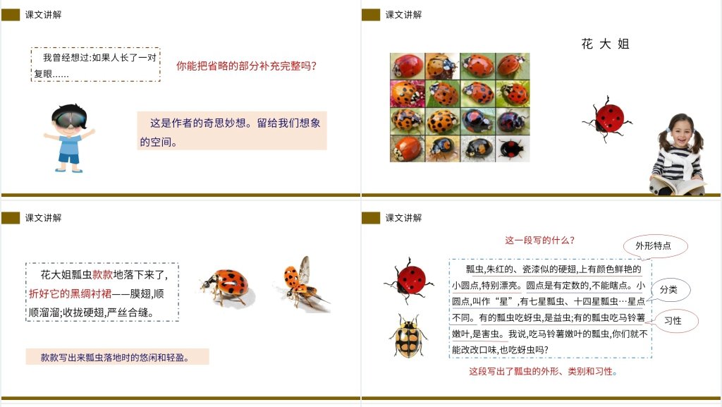 小学三年级语文下册《昆虫备忘录》PPT课件