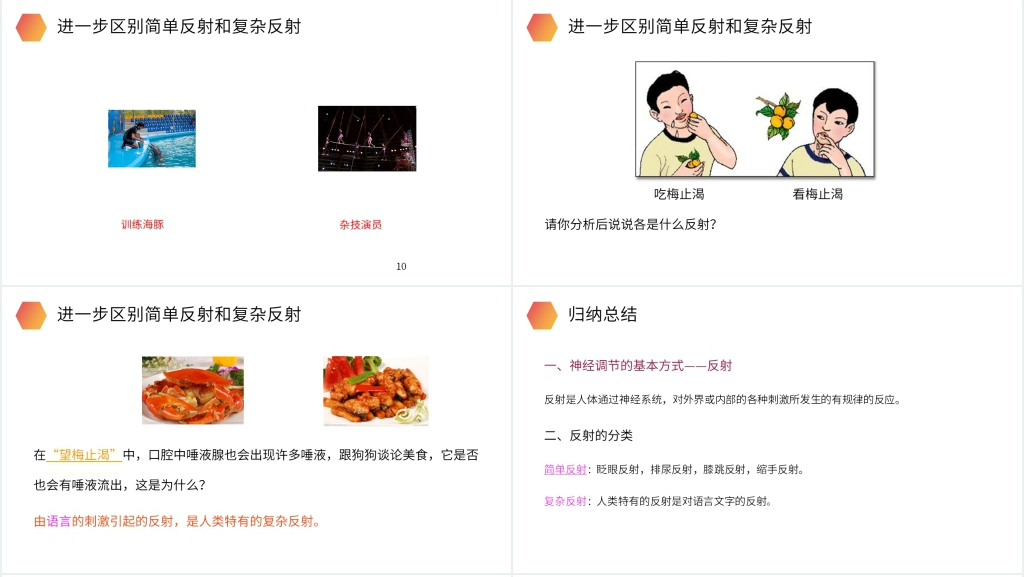 人教版生物七年级初一下册《神经调节的基本方式》PPT课件 人教版生物七年级初一下册《神经调节的基本方式》PPT课件