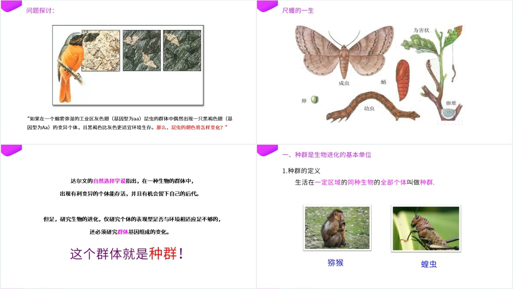 高一下册生物必修二《种群基因频率的改变与生物进化》PPT课件 高一下册生物必修二《种群基因频率的改变与生物进化》PPT课件