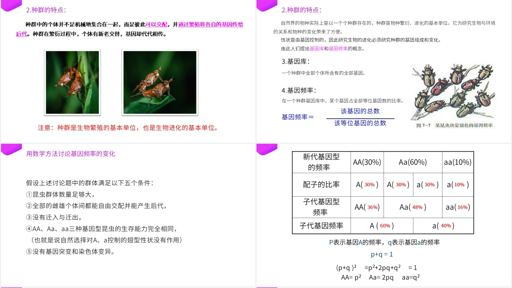 高一下册生物必修二《种群基因频率的改变与生物进化》PPT课件 高一下册生物必修二《种群基因频率的改变与生物进化》PPT课件